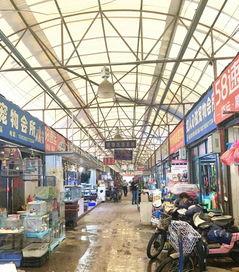 凤城三路花鸟鱼虫市场