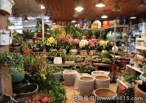 上海花市场批发市场在哪