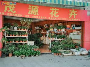 东营东城花卉市场在哪里