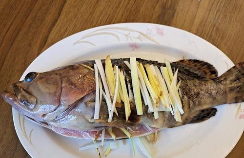石斑鱼价格一斤多少钱